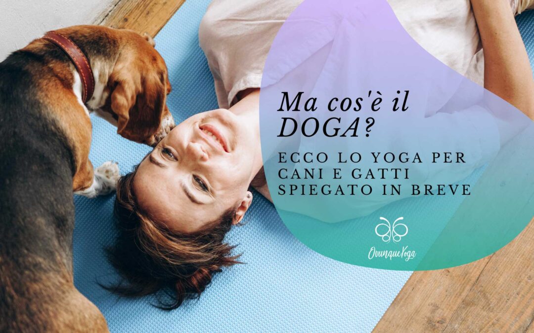 Ma cos’è il DOGA? Ecco lo yoga per cani e gatti spiegato in breve.